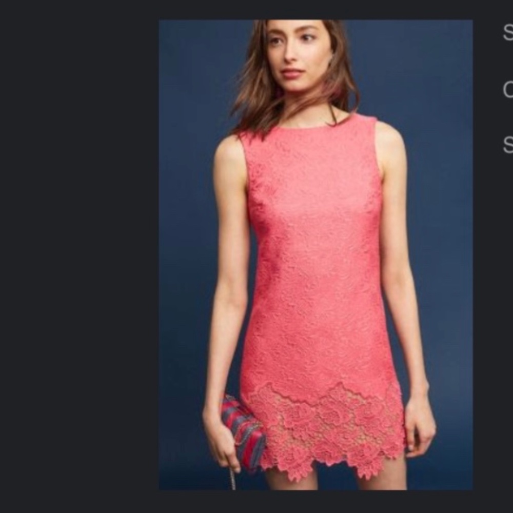 NWT Ella Lace Sheath Dress, cut flower detailing, bright coral color